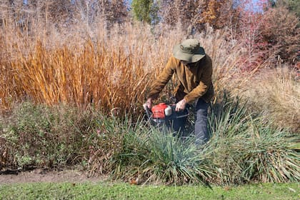 Las gramíneas generan un paisaje bellamente imperfecto y lleno de biodiversidad