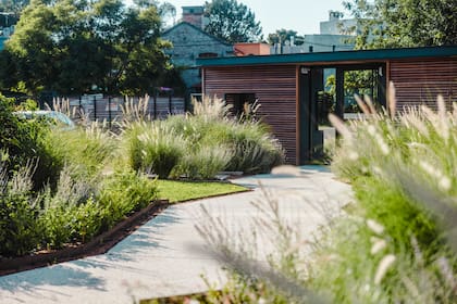 Las gramíneas son ideales para aportar texturas y luz a los canteros