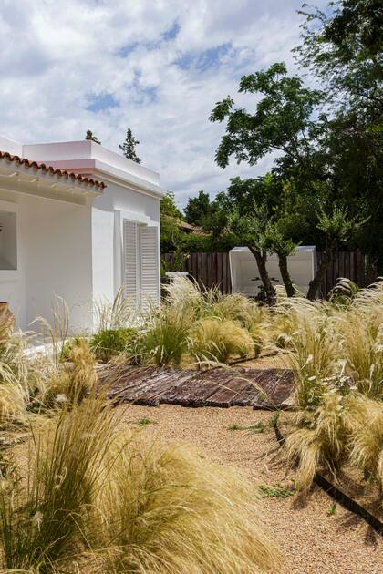 Las gramíneas son protagonistas tanto en la fachada como en el jardín trasero de la casa.
