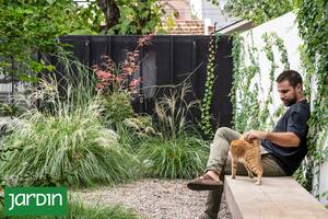 En Olivos, un jardín de gramíneas que siempre luce bien y no exige mantenimiento