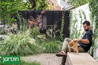 En Olivos, un jardín de gramíneas que siempre luce bien y no exige mantenimiento