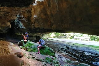 Destinos de naturaleza para disfrutar el otoño a pleno
