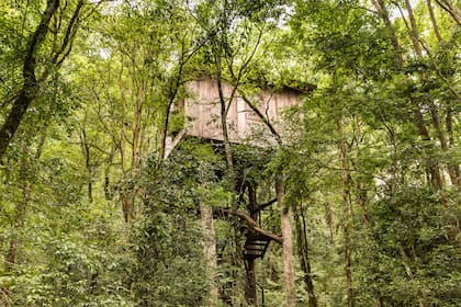 Las habitaciones están en medio de la selva paranaense.