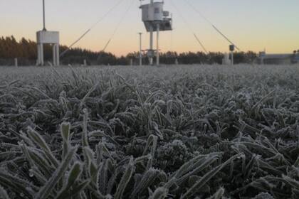 Las heladas en Santa Rosa, La Pampa