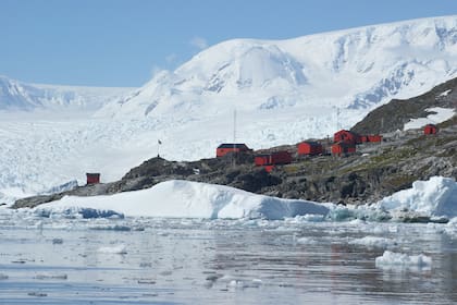 Las heladas rocas de la antártida, dueñas de una flora muy particular 