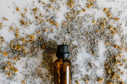 Las hierbas medicinales se usan desde hace siglos para combatir afecciones (Foto Pexels)