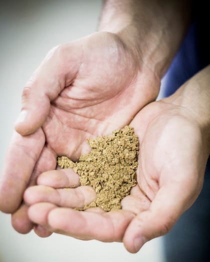 Las hierbas pasan por un molino que las hace polvo o piedritas.