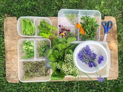 Las hierbas y las flores frescas son protagonistas en los platos de Fernando Mayoral.