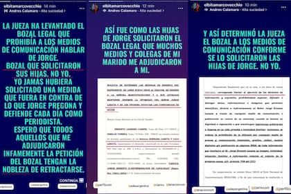Las historias de Elba Marcovecchio en su cuenta de Instagram