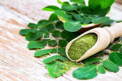 Las hojas de la moringa se pueden consumir frescas, desecadas o molidas en polvo para combinar en infusiones como jugos y batidos