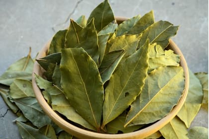 Las hojas secas de laurel son perfectas para atraer la prosperidad y el dinero, pero si se potencian con otros ingredientes como la canela, su efecto es mayor (Archivo)
