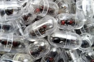 El ciudadano chino que fue detenido por el contrabando de 2000 hormigas reina en un aeropuerto de Kenia