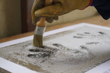 Las huellas de los pilotos, realizadas sobre una batea de fibra con dilución de hormigón especial, resistente a las inclemencias del tiempo. (Gentileza S. Mayor).
