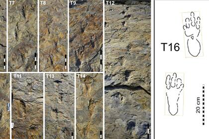 Las huellas encontradas en Corea del Sur