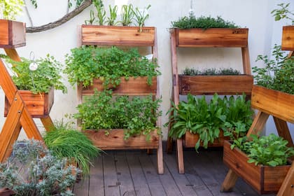 Las huertas portátiles son la solución ideal para quienes se mudan seguido, tienen poco espacio… o simplemente cambian de idea con las estaciones