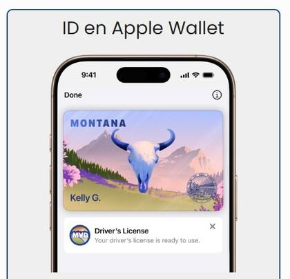 Las identificaciones móviles de Montana permiten a los ciudadanos agregar de forma fácil y segura su licencia de conducir o identificación estatal