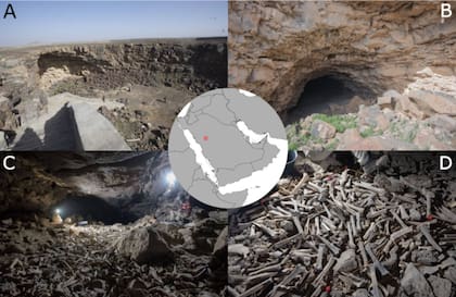 Las imágenes A y B muestran la apertura de la caverna. Las C y D muestran el depósito de huesos y la imagen del medio destaca la ubicación de la cueva en Arabia Saudita
