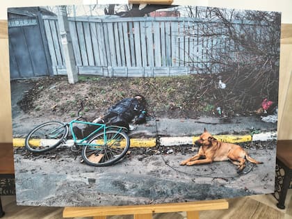 Las imágenes de las calles de Bucha que recorrieron el mundo, con cadáveres en las calles