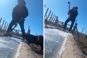 La impactante imagen de un bebedero para ganado congelado y cómo el hielo solo se rompió a hachazos