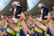 Las imágenes del “perro xeneize” que se volvió viral por alentar a Boca en la cancha 