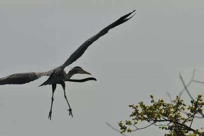Las imágenes fueron tomadas en Delaware, Estados Unidos