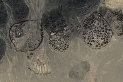 Las imágenes generaron impacto y mucho interés entre la comunidad arqueológica