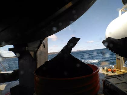 las-imagenes-sorprendieron-a-los-investigadores-YEOVTHCAE5H2XBWIO63GQNQ52U Recuperaron las imágenes tomadas por el Titan del OceanGate antes de la implosión: la “foto del final”