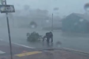 El terrible momento en el que un meteorólogo es arrastrado por el huracán Ian