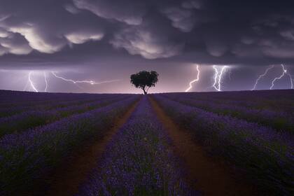 Juan López Ruiz, España, Ganador de la categoría Paisaje . Sony World Photography Awards 2021
