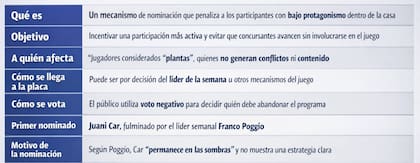 Las implicancias de la nueva "placa planta"