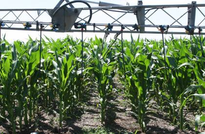 Las importaciones de fertilizantes tuvieron un sólido desempeño interanual con un crecimiento del “+20%”, lo que “refuerza la ampliación del área de siembra de maíz y, con ello, una mayor demanda temprana de insumos"