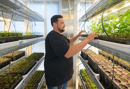 Las instalaciones de Gen Nativo están en las localidades de Corralito, San Francisco, Laboulaye, Coronel Moldes y Despeñaderos y tienen capacidad para generar entre 10.000 y 30.000 plantas mensuales