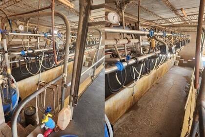 “Cómo no me fui”: un tambero que le entrega leche a SanCor desde hace 50 años dice que le debe una suma inmensa 11 Las instalaciones del tambo del productor