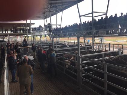 Las instalaciones están cubiertas