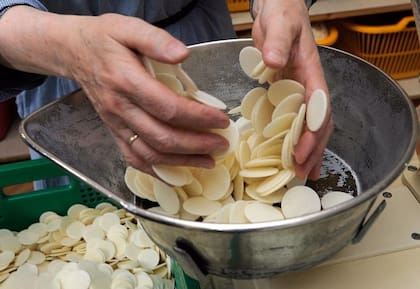 Las integrantes de la congregación fundada por la madre Rendiles son responsables de las hostias que se reparten en las iglesias caraqueñas.