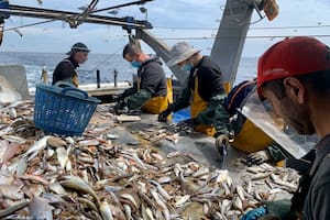 La industria pesquera advirtió por "las graves consecuencias" si se avanza con la modificación del régimen