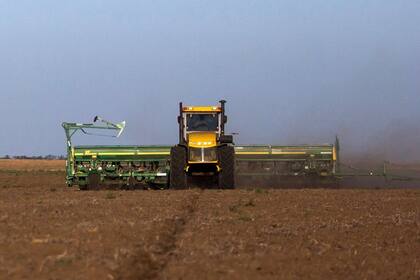 Las intervenciones en el gobierno anterior afectaron la implantación de cereales y favorecieron el área con soja
