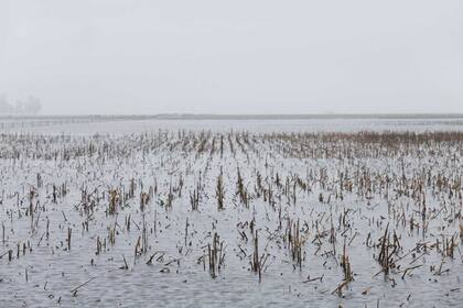 Las inundaciones dejaron consecuencias que hoy se hacen visibles sobre todo en los campos desparejos