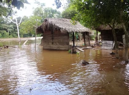Las inundaciones en Bolivia expusieron como ciertos grupos demográficos se ven más afectados por el cambio climático y El Niño