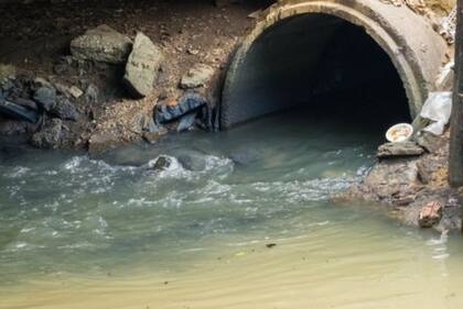 Las investigaciones recientes señalan que el nuevo coronavirus también está presente en las heces de los pacientes.