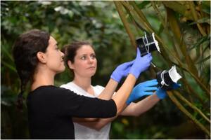 Las investigadoras utilizaron dispositivos de succión de aire para capturar el ADN