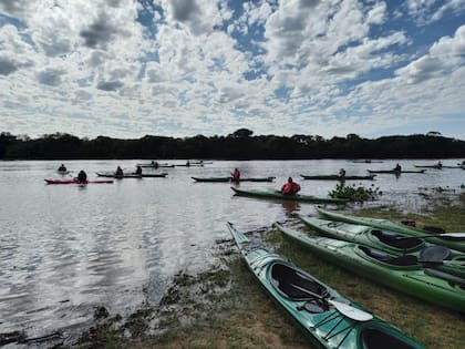 Las islas del río Uruguay conservan una gran diversidad de especies, algunas en peligro de extinción; se lo puede recorrer en kayak