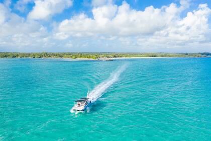 Las islas más grandes de Bahamas se llaman Andros y tienen una barrera de coral impresionante, de más de 300 kilómetros de largo, con variedades de corales.