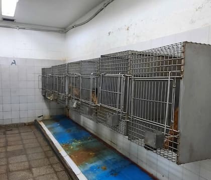 Las jaulas en el exbioterio del Cemic, donde solo hay luz artificial