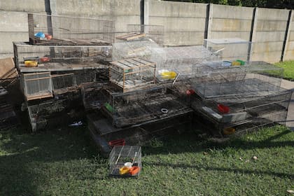 Las jaulas que se decomisaron y que prevalecen en el Centro de Rescate de la Fundación Temaikèn