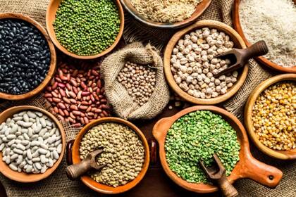 Las legumbres son una alta fuente de proteína y los especialistas aseguran que son fundamentales en la sustitución de carnes rojas y alimentos ultraprocesados