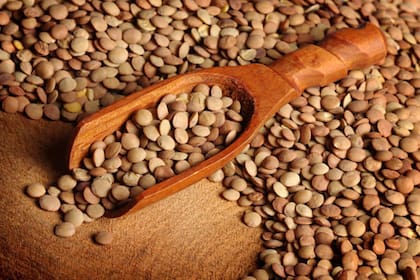 Las lentejas son ricas en proteínas, hidratos de carbono y fibra. (Foto Pexels)