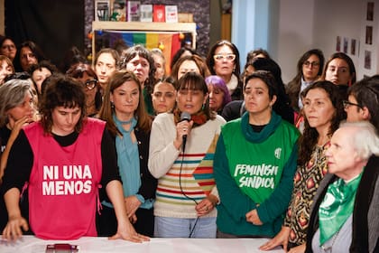 "Las leyes que están vigentes no se cumplen", afirmó Del Plá
