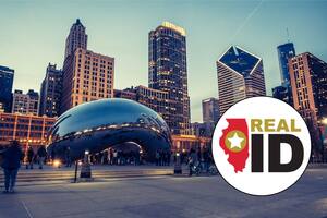 Las licencias de conducir y tarjetas estatales que no incluyan la estrella dorada dejarán de ser válidas (Archivo)