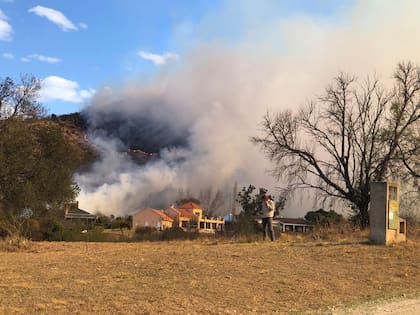 Las llamas avanzaron hacia el terreno de El Potrerillo de Larreta.